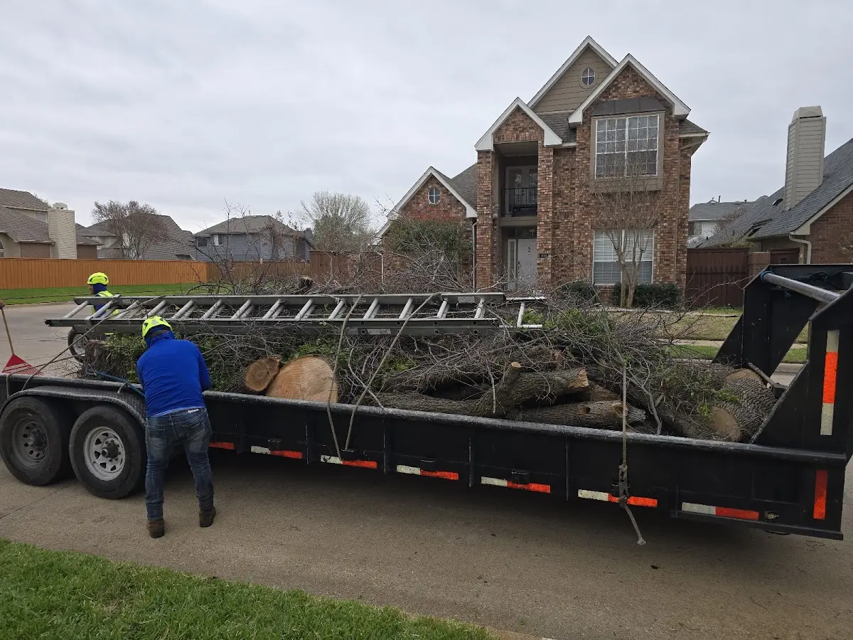 Expert Tree Fertilization with proper safety equipment in Carter Lake